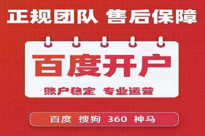 百度竞价代运营公司成功案例分析
